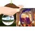 Set of 6 Hanging Glass Globe Plant Terrariums - Glass Orbs Air Plants Tea Lig...   